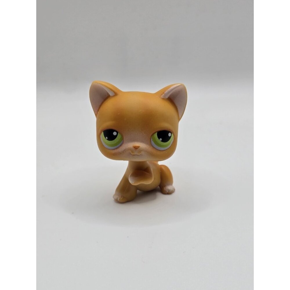 Hasbro Littlest Pet Shop LPS #11 Orange Cat Kitten Green Eyes